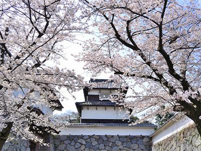 舞鶴公園(福岡城)の画像