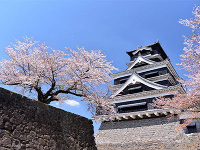 熊本城の画像