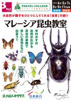 成田・関空発　マレーシア昆虫教室表紙