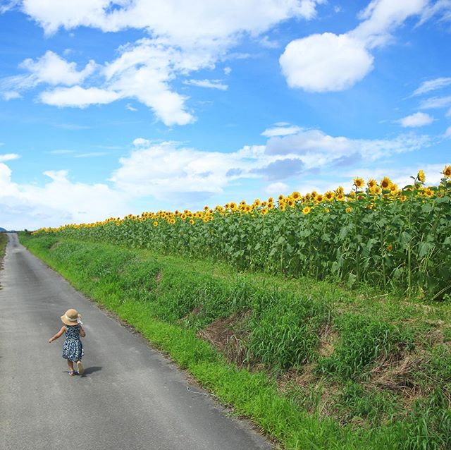 夏っぽい夏選手権 日本旅行