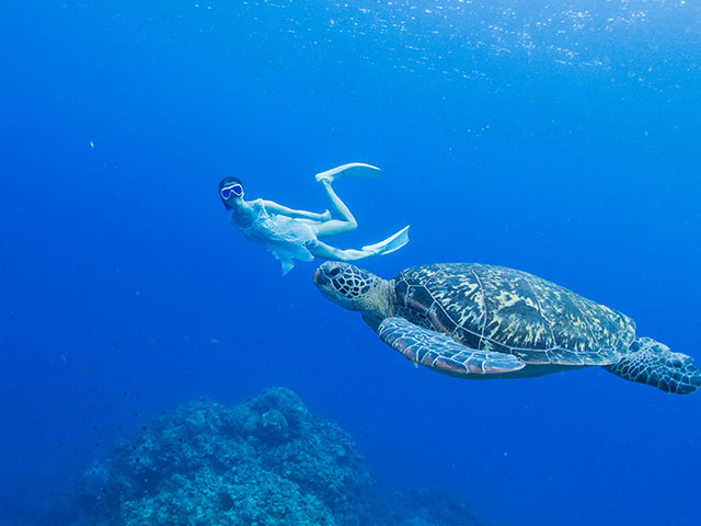 スキンダイビング