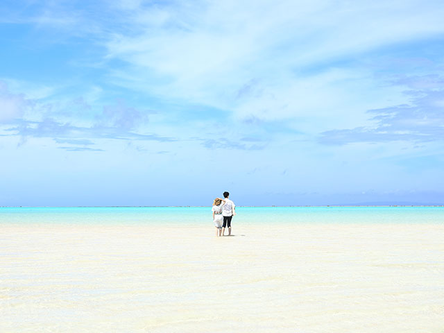 百合ヶ浜ツアー