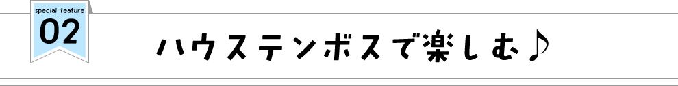 ハウステンボスで楽しむ♪