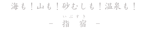 海も！山も！砂むしも！温泉も！　指宿