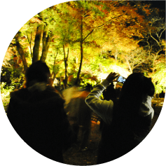 長浜八幡宮