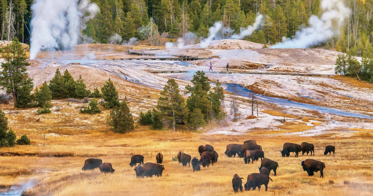 イエローストーン国立公園｜海外旅行・海外ツアーは日本旅行