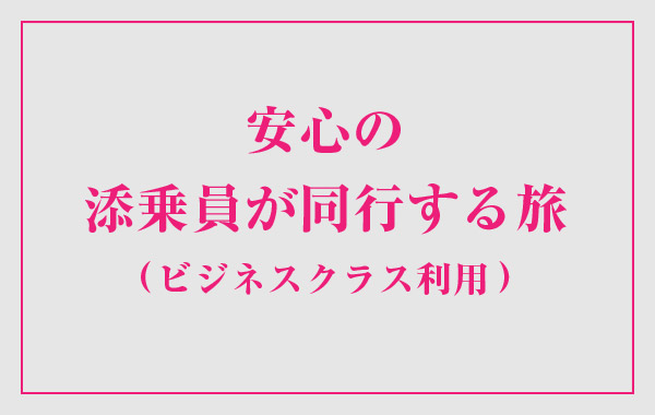 安心の添乗員同行コース(ビジネス)