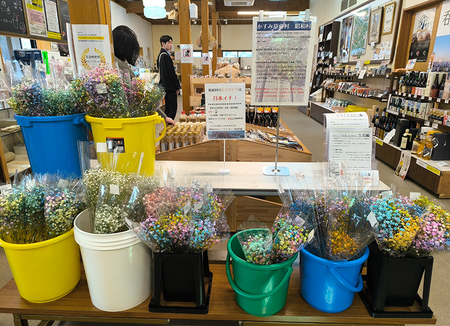 道の駅からむし織の里しょうわ　「織姫交流館」