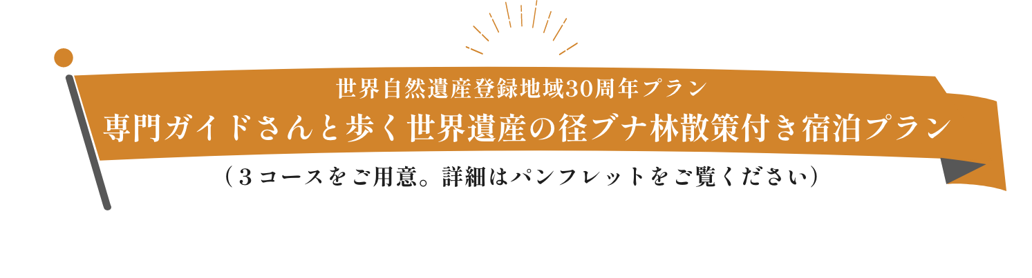 専門ガイドさんと歩く世界遺産の径ブナ林散策付き宿泊プラン