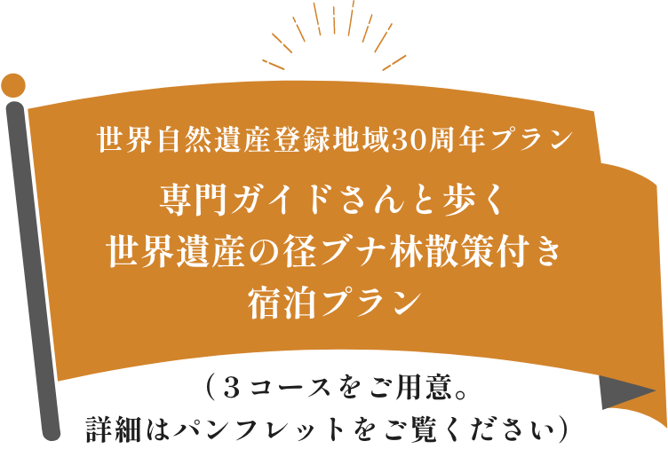 専門ガイドさんと歩く世界遺産の径ブナ林散策付き宿泊プラン
