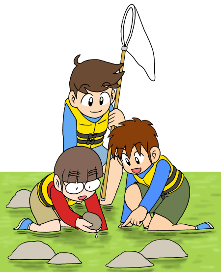 川のいきものさがしイメージ
