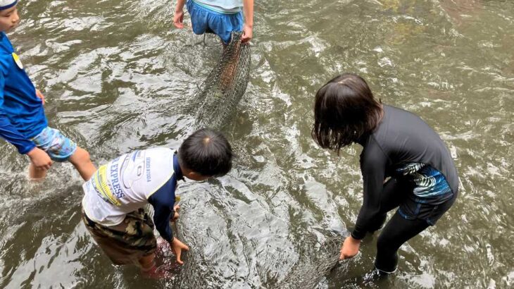 ニジマスつかみの感想
