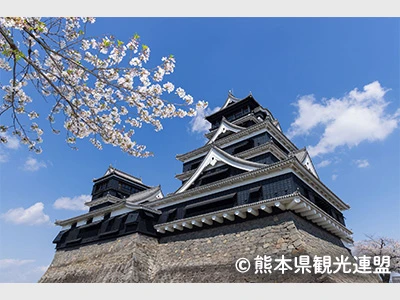 県央エリア(イメージ)