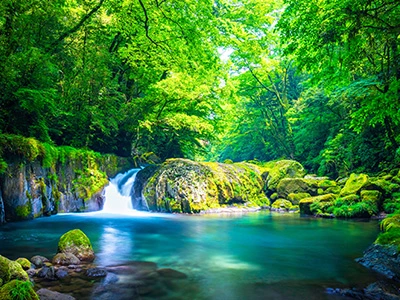 県北エリア(イメージ)