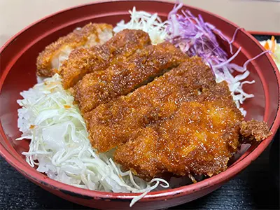 ソースカツ丼(イメージ)