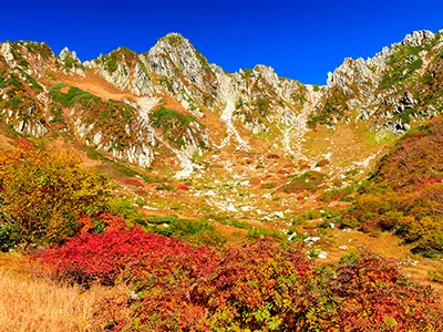 南信州エリア(イメージ)