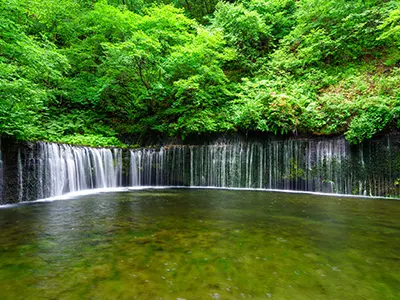 東信州エリア(イメージ)