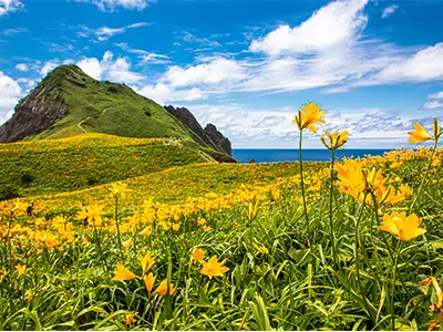 佐渡エリア(イメージ)
