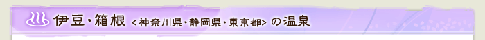 伊豆・箱根（神奈川県・静岡県・東京都）の温泉