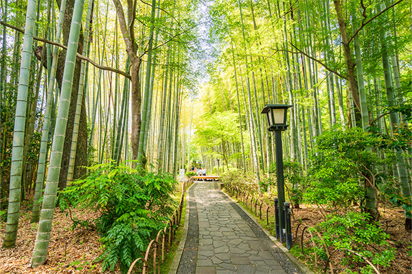 修善寺温泉