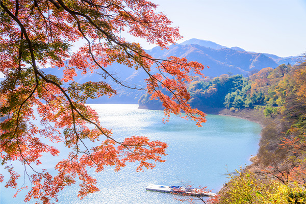 猿ヶ京温泉